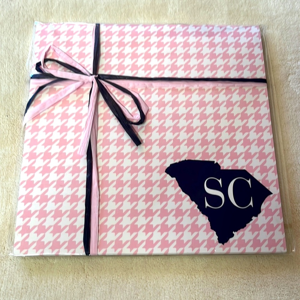 NWOT Ann Page South Carolina Notepad
